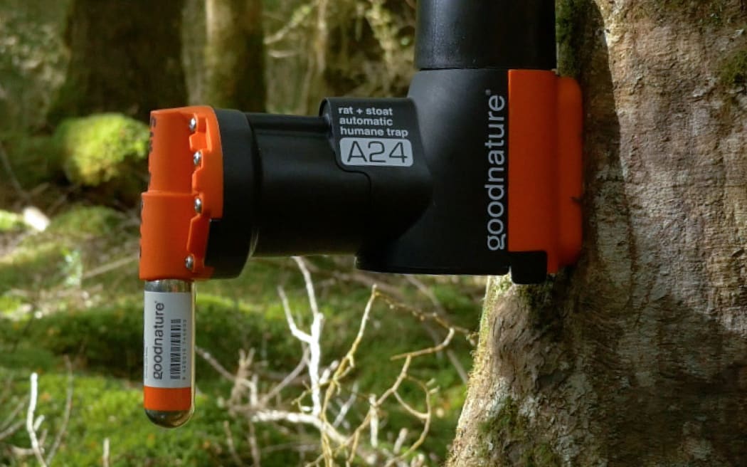 Goodnature self setting trap