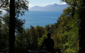 View of Jackson Bay/Okahu South Westland