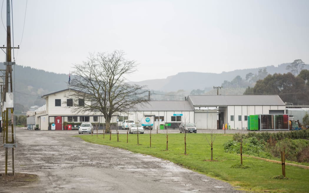 Te Mata Mushroom Company in Havelock North