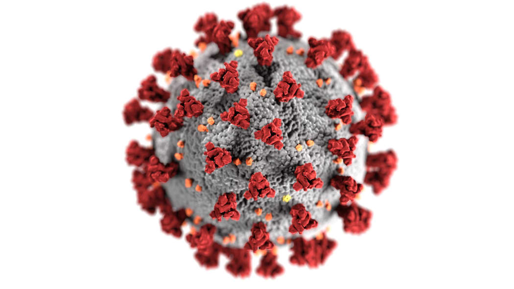 This illustration, created at the Centers for Disease Control and Prevention (CDC), reveals ultrastructural morphology exhibited by coronaviruses. Note the spikes that adorn the outer surface of the virus.