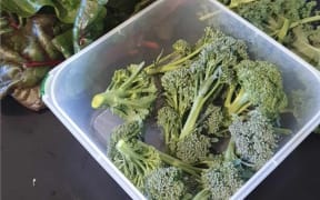 Small harvest of the vegetables.