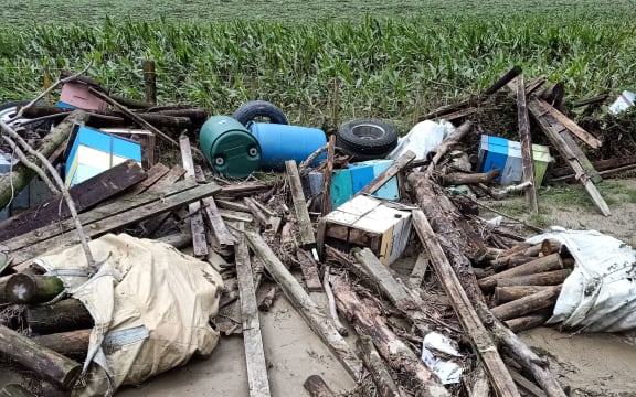 Beehives in the Gisborne region damaged in Cyclone Gabrielle