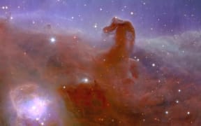 The Horsehead is a great cloud of gas and dust where stars are being born. It's relatively close, just 1300 light-years from Earth. Many telescopes have imaged this scene but none have done so with the combined width and sharpness that Euclid can achieve.