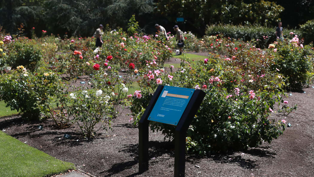Rose gardens at Pollard Park