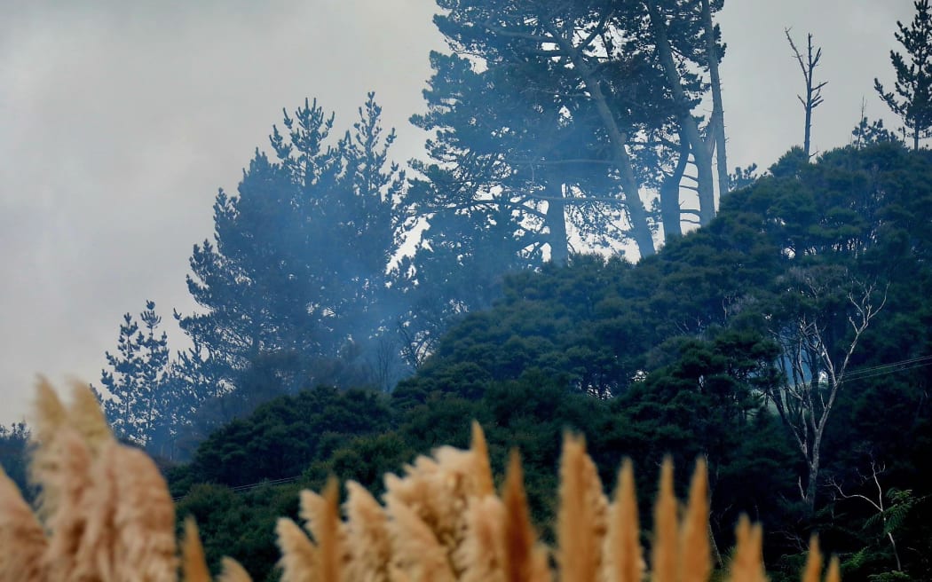 A scrub fire is burning in Kaipara, closing part of SH16