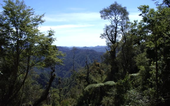 TE UREWERA