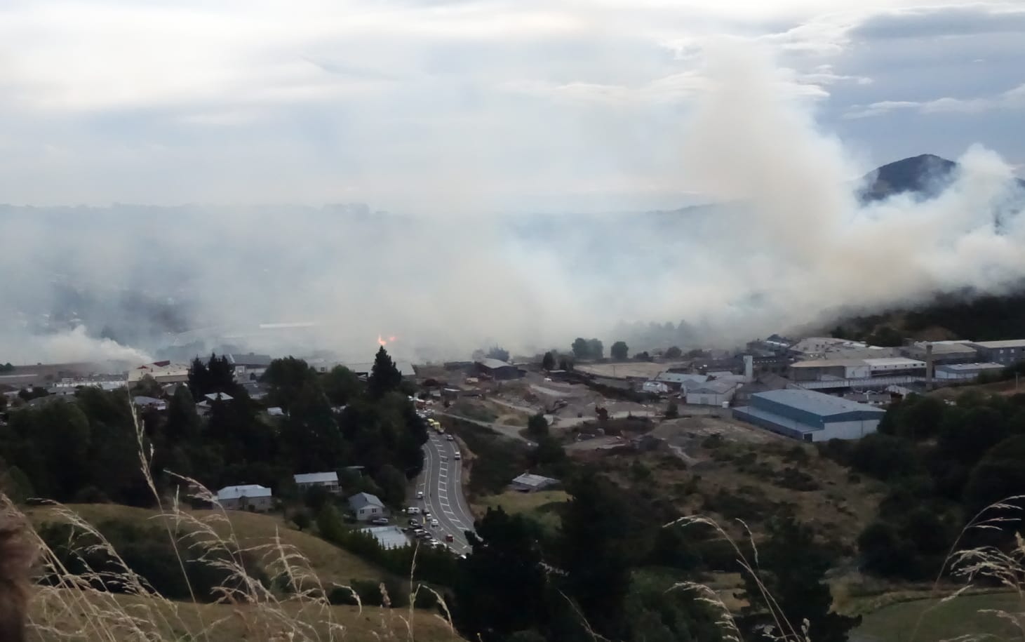 The fire quickly spread across an area of 20-25 hectares.