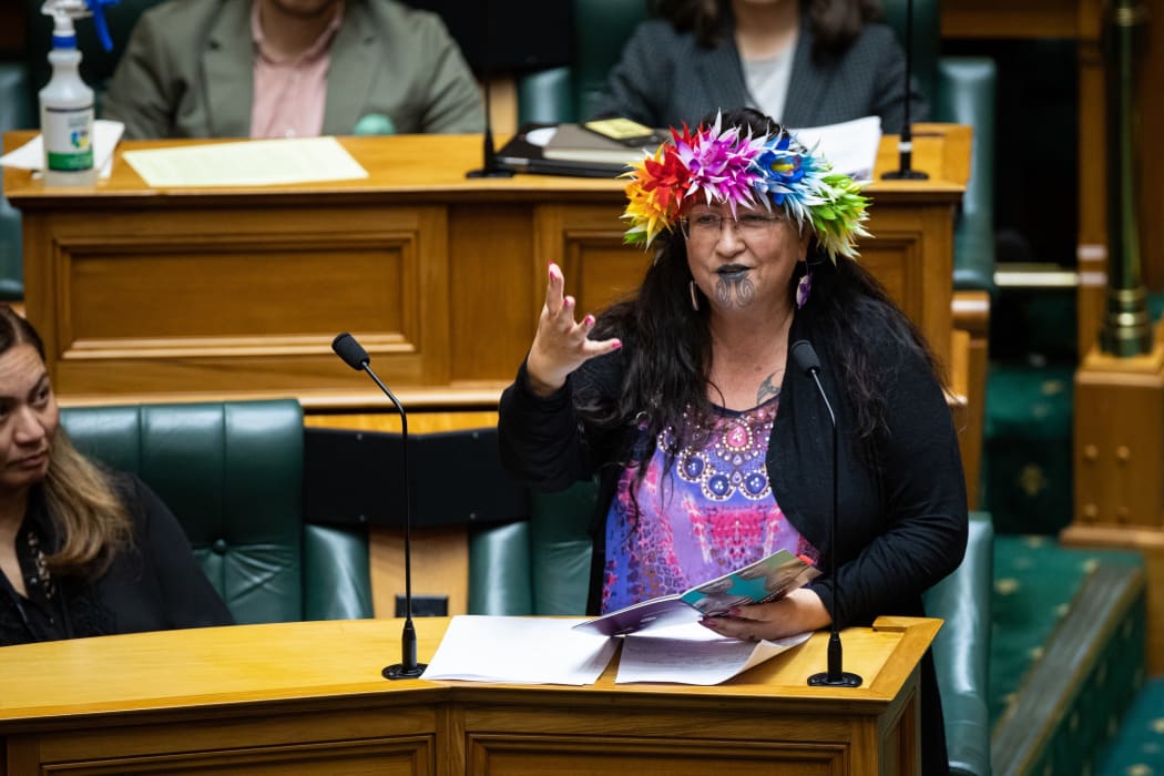 Green MP Elizabeth Kerekere speaks in the debate on Conversion Practices