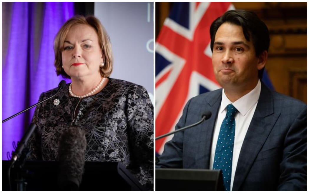 Judith Collins and Simon Bridges