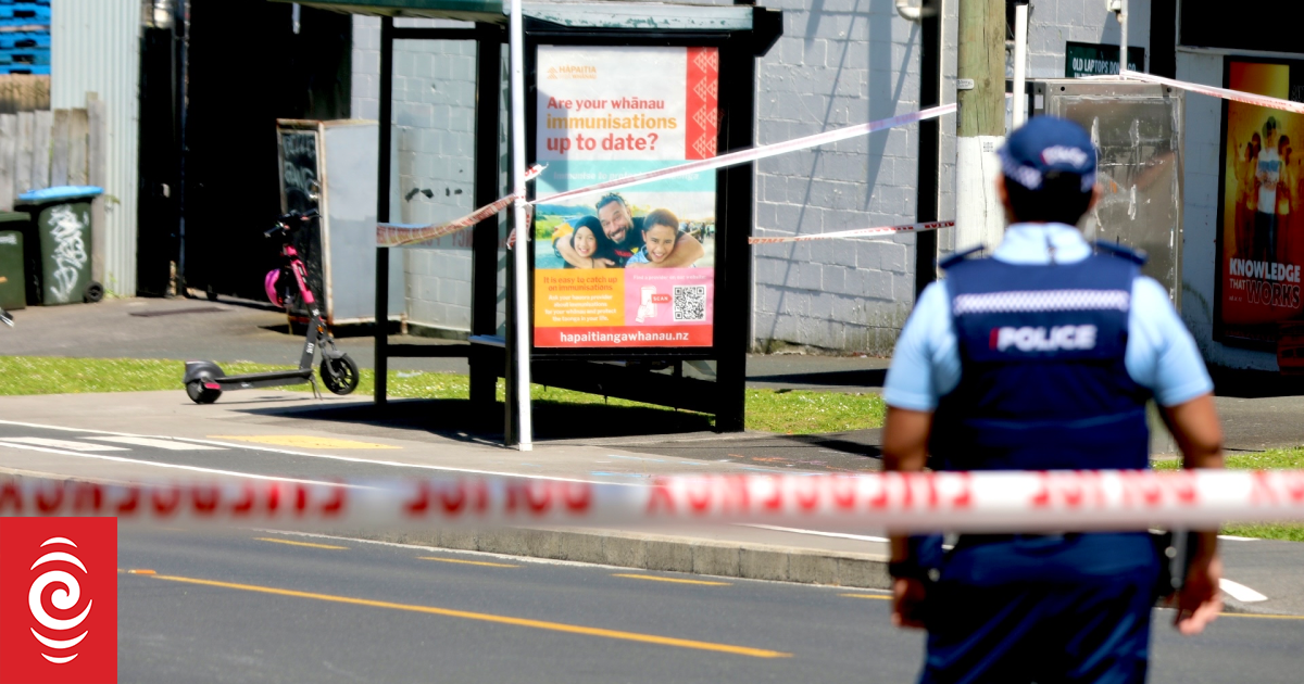 Man accused of fatal Auckland bus stabbing remanded in custody