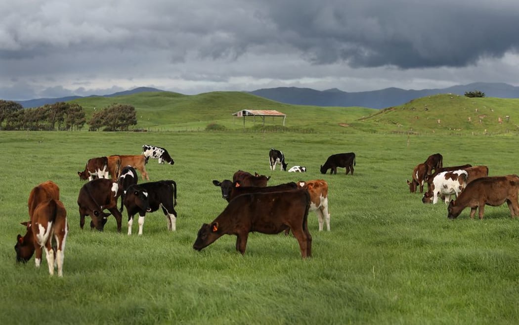 Federated Farmer's Manawatu-Rangitikei