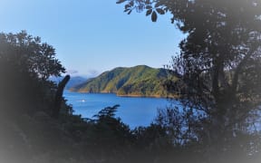 The cove at the northern head of Marlborough's Queen Charlotte Sound was where Captain Cook first dropped anchor in the South Island.