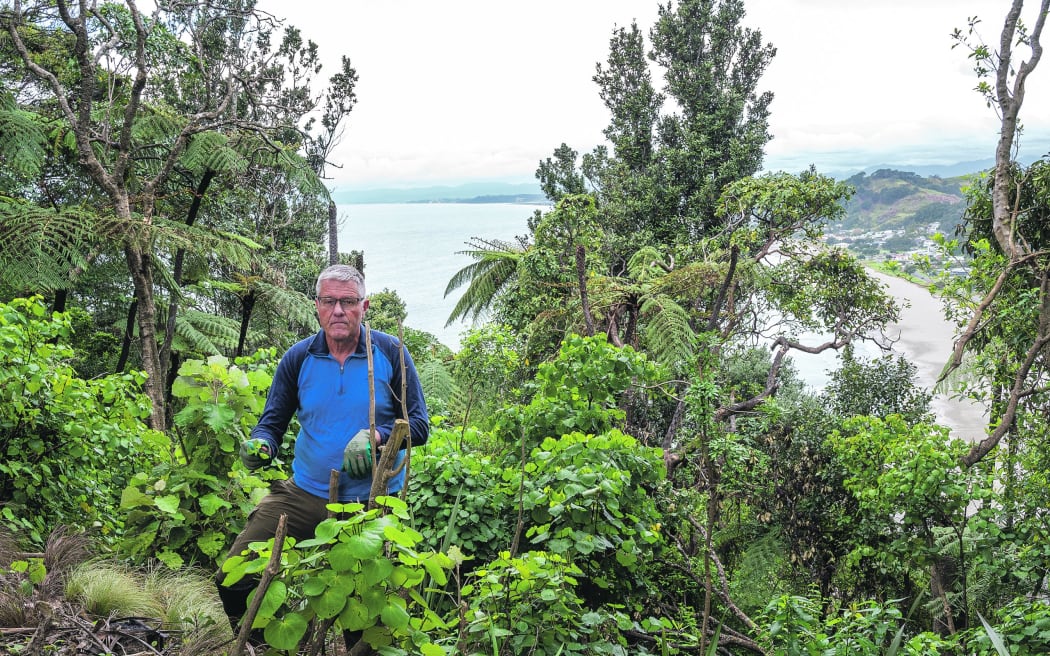 Brent Sheather spends much of his free time maintaining the native bush that surrounds his home in Ōtarawairere, Bay of Plenty and is fed up with finding the remains of cleared native plants.