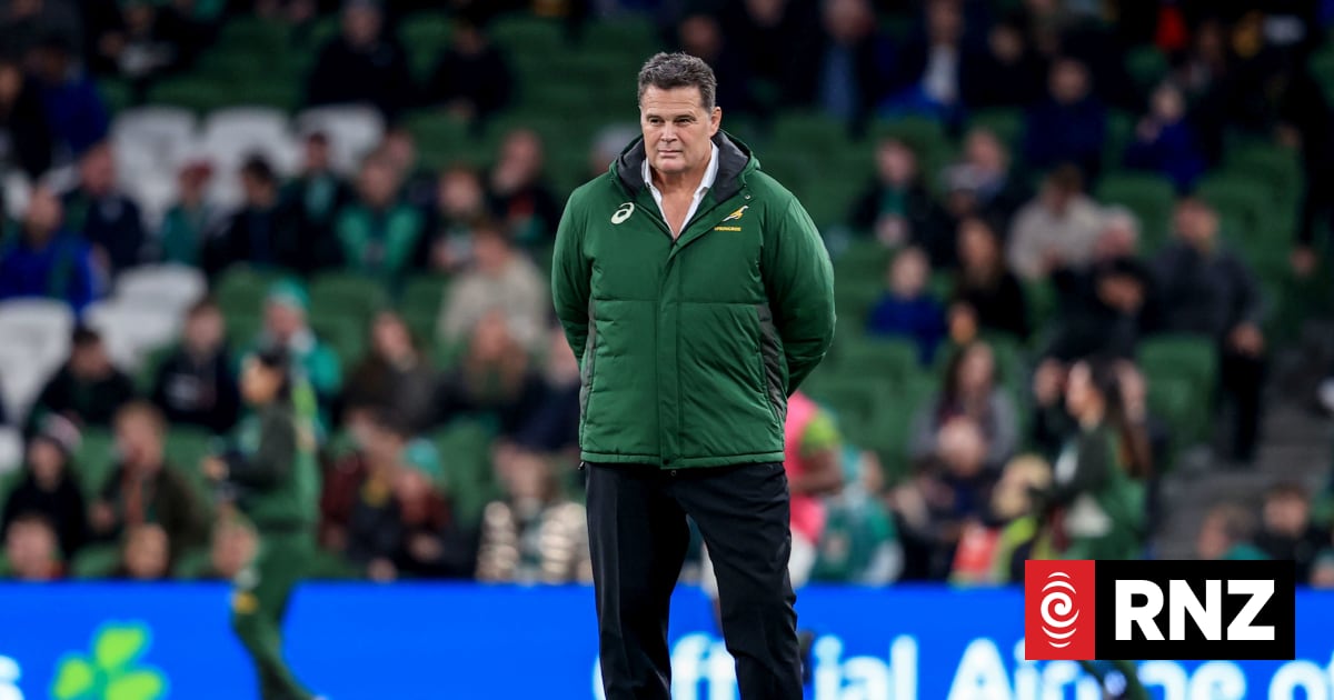Former Springbok captain can't defend Eramus comments | RNZ