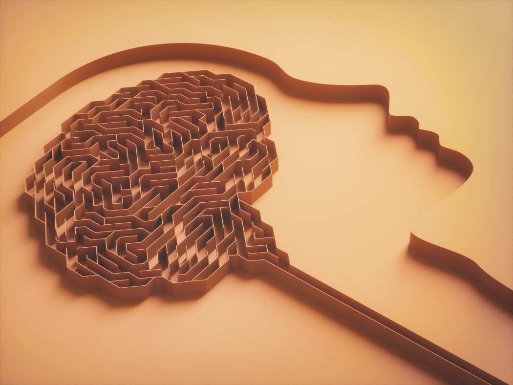 3D illustration, brain shaped maze. Concept image of study and brain behavior. (Photo by Science Photo Library via AFP)