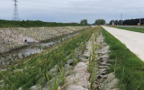 Drains and roads at the Ruakura Superhub construction site