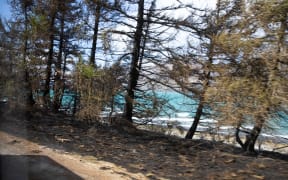 Fire damage at Lake Ohau village