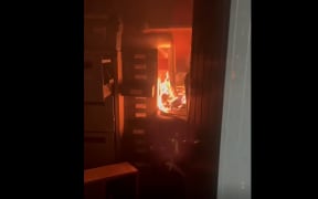 Police are investigating after someone intentionally set a shed on fire in Dunedin.