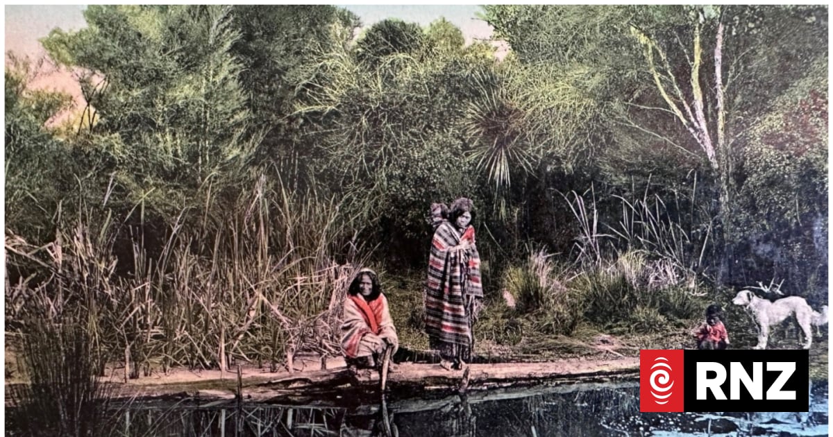 The postcard that made its way home to Dunedin after 116 years