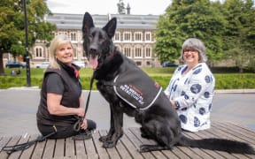 Levi, a German shepherd in training as a medical detection dog, is flanked by Pauline Blomfield of K9 Medical Detection NZ (left) and University of Otago Biostatistics Centre director Robin Turner.