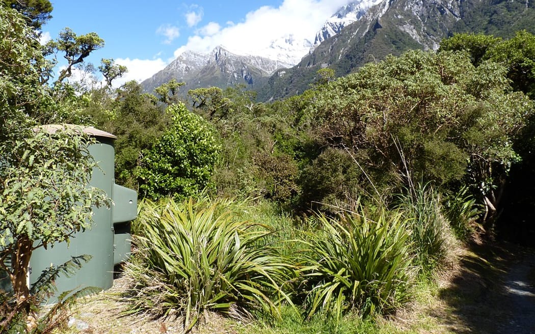 Copland Track, Westland