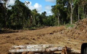 A logging road in East Sepik Province, PNG.