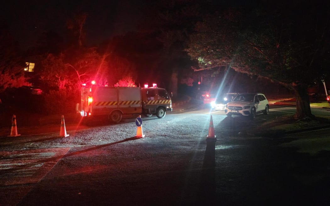 Firefighters have closed the road up to Māngere Mountain after a grass fire broke out.