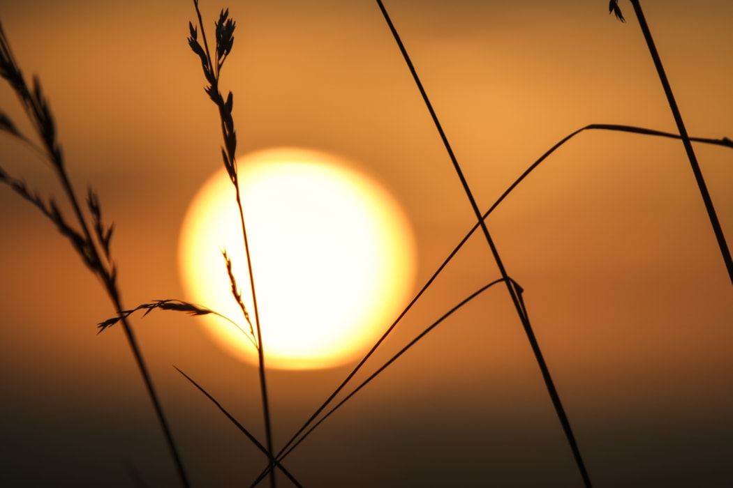 Picture of the sun
