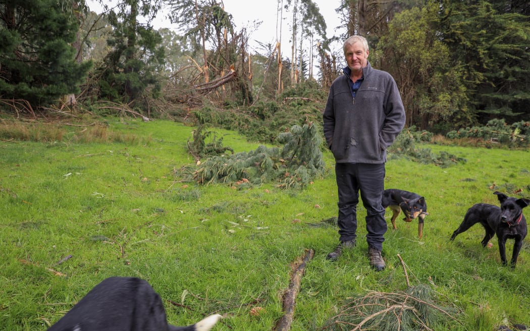 Clutha Valley volunteer fire chief stands on his farm where large trees have fallen