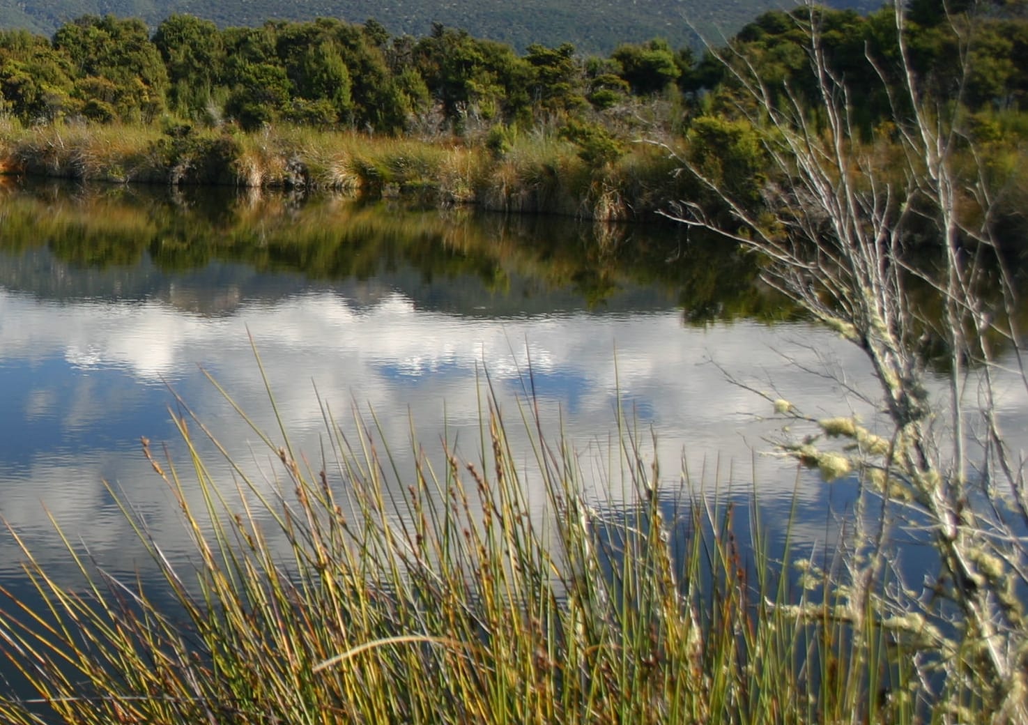 A wetland the Waiau Fisheries and Wildlife Habitat Enhancement Trust created on Eweburn Station.