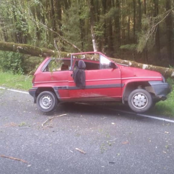 Ryan Walsh was driving at almost 100kmh when a tree fell on his car.