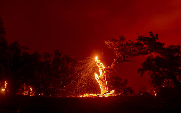 In this long exposure photograph, embers fly off a burning tree during the Hennessey fire in the Spanish Flat area of Napa, California on 18 August, 2020.