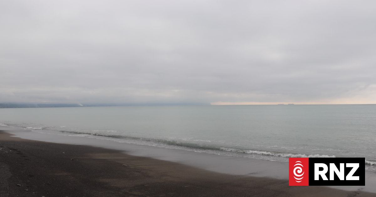 Napier's Westshore beach