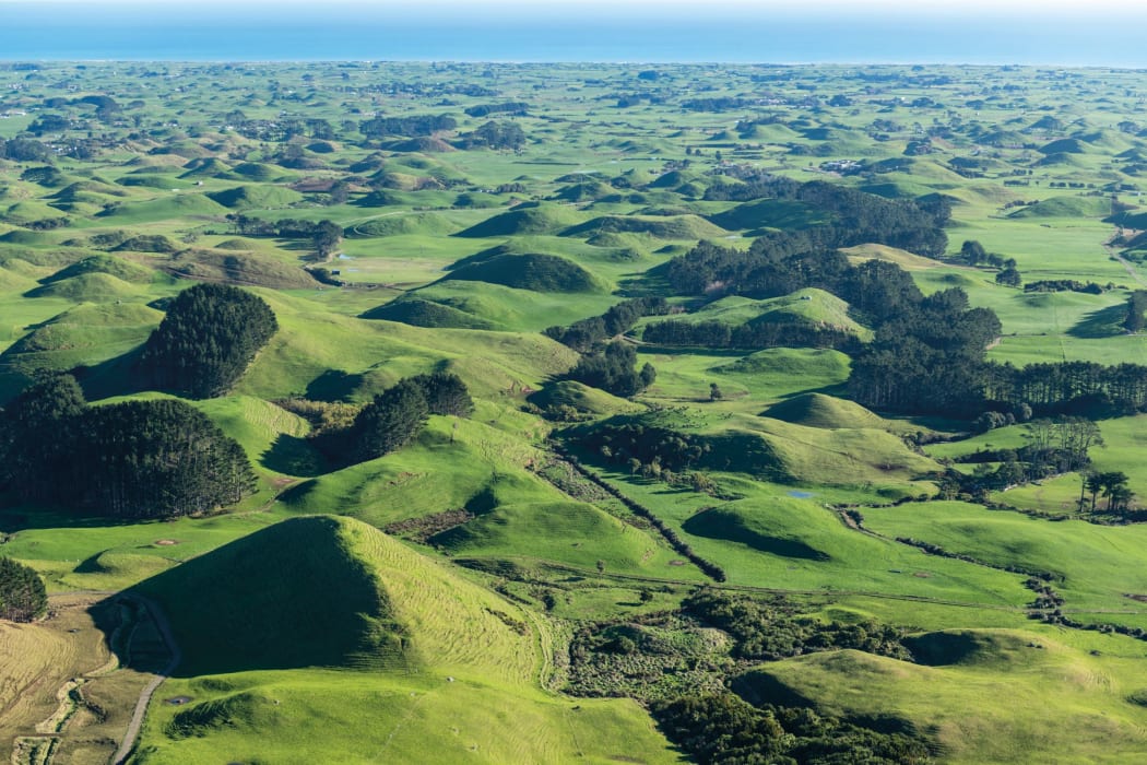 The Pungarehu debris avalanche mound field of lumps of Mt Taranaki rock