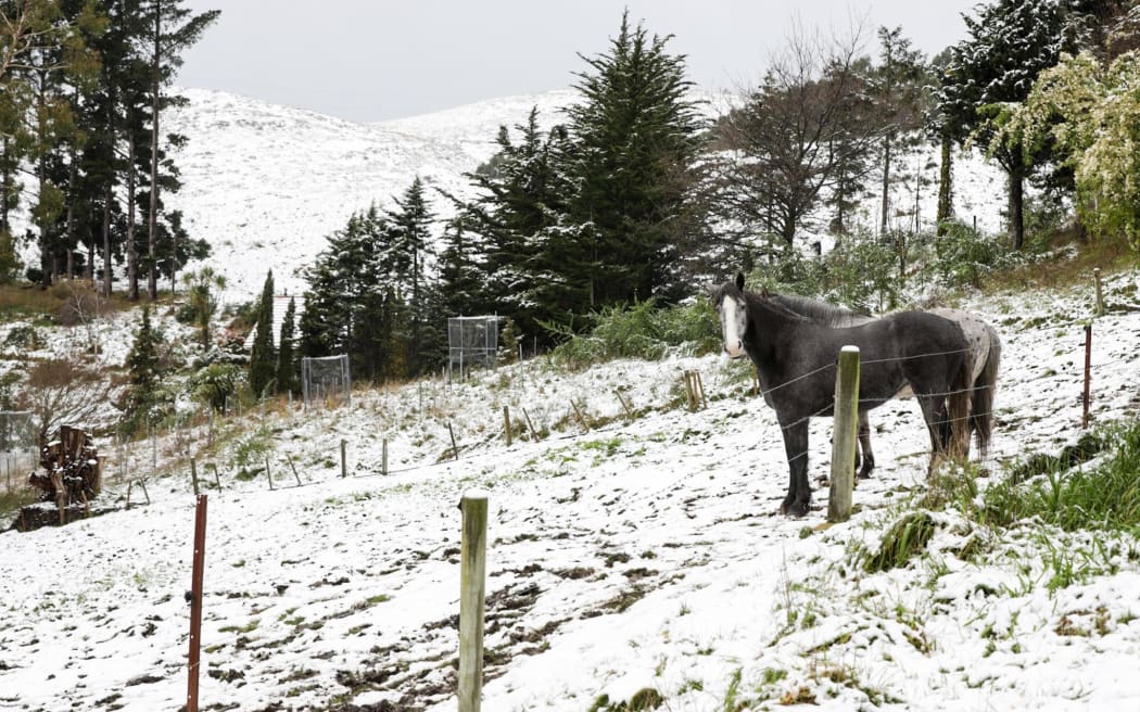 Snow on Christchurch's Port Hills