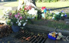Auckland Council warned about missing drain lids: RNZ Checkpoint