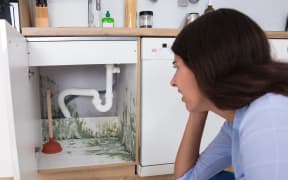 Young Woman Looking At Mould In Cabinet Area In Kitchen