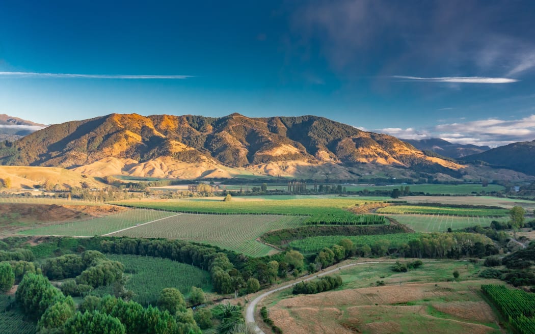 An aerial view of Clayton Hops farm in Tasman.
