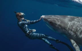 Shark Whisperer. Ocean Ramsey in Shark Whisperer. Cr. Courtesy of Netflix © 2025