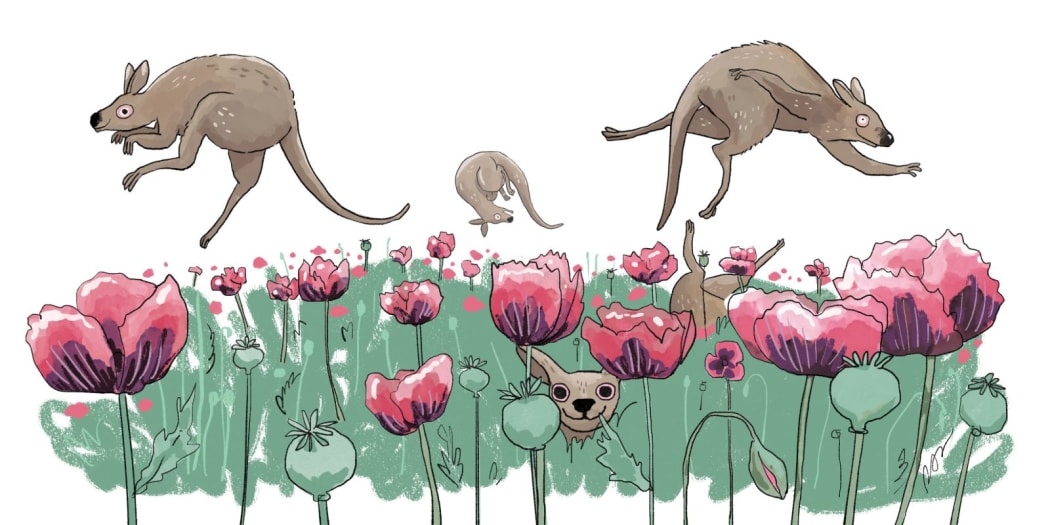 A cartoon illustration of joeys (baby kangaroos) playing in a field of poppies.