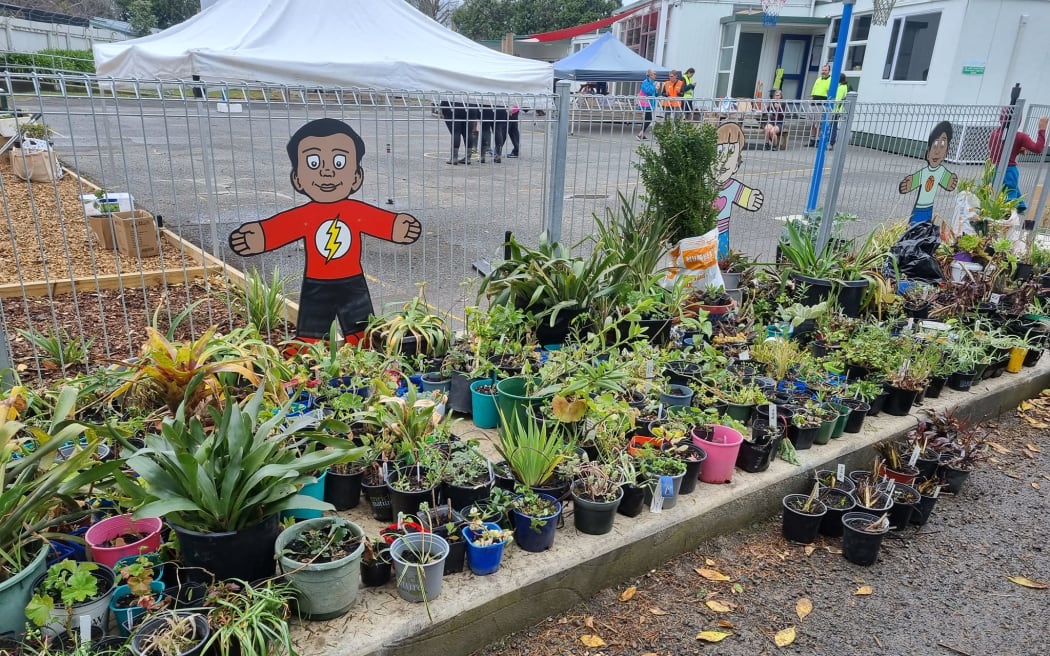 Doated plants outside Pakowhai School.