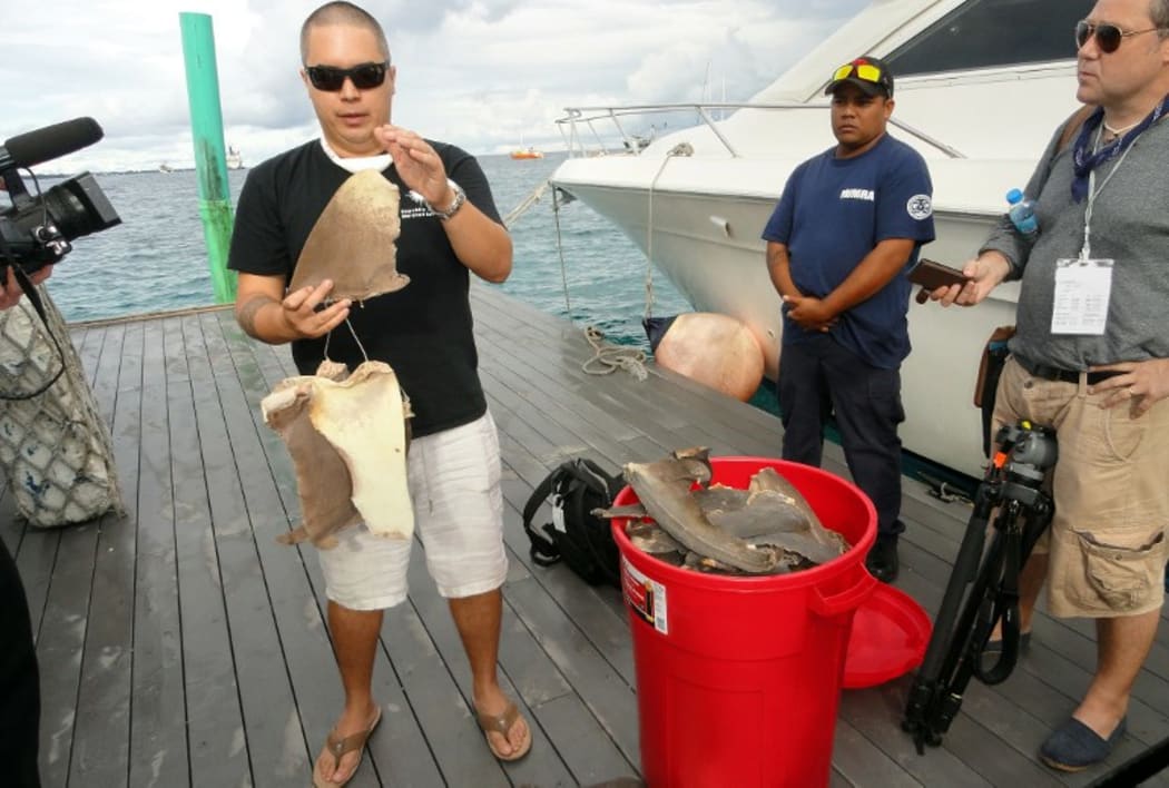Pew Charitable Trusts shark expert Angelo Villagomez (L) explains about the types of shark fins that were confiscated by Marshall Islands fisheries enforcement officials. September 2013