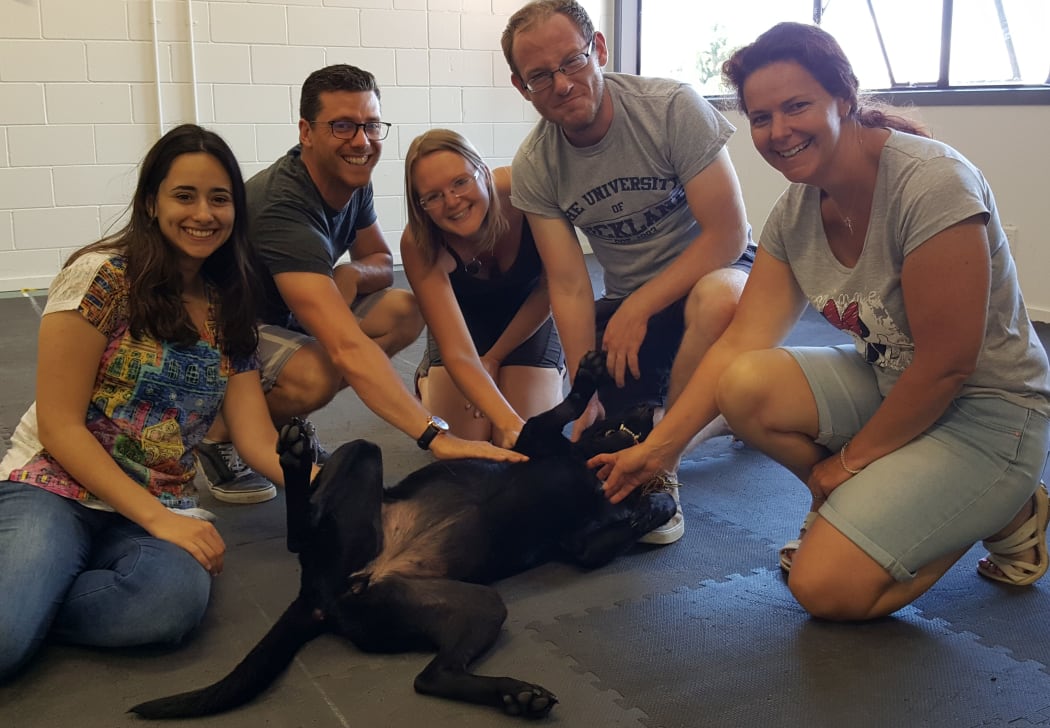 The Clever Canine team (from left): Amalia Bastos, Alex Taylor, Rebecca Hassall and Patrick Neilands with dog owner Rowena Maunsell and a very relaxed labrador called Wilma.