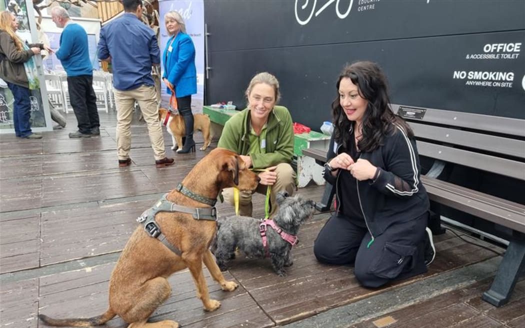 Dog trainer Maria Alomajan, right, with a dog owner and dog