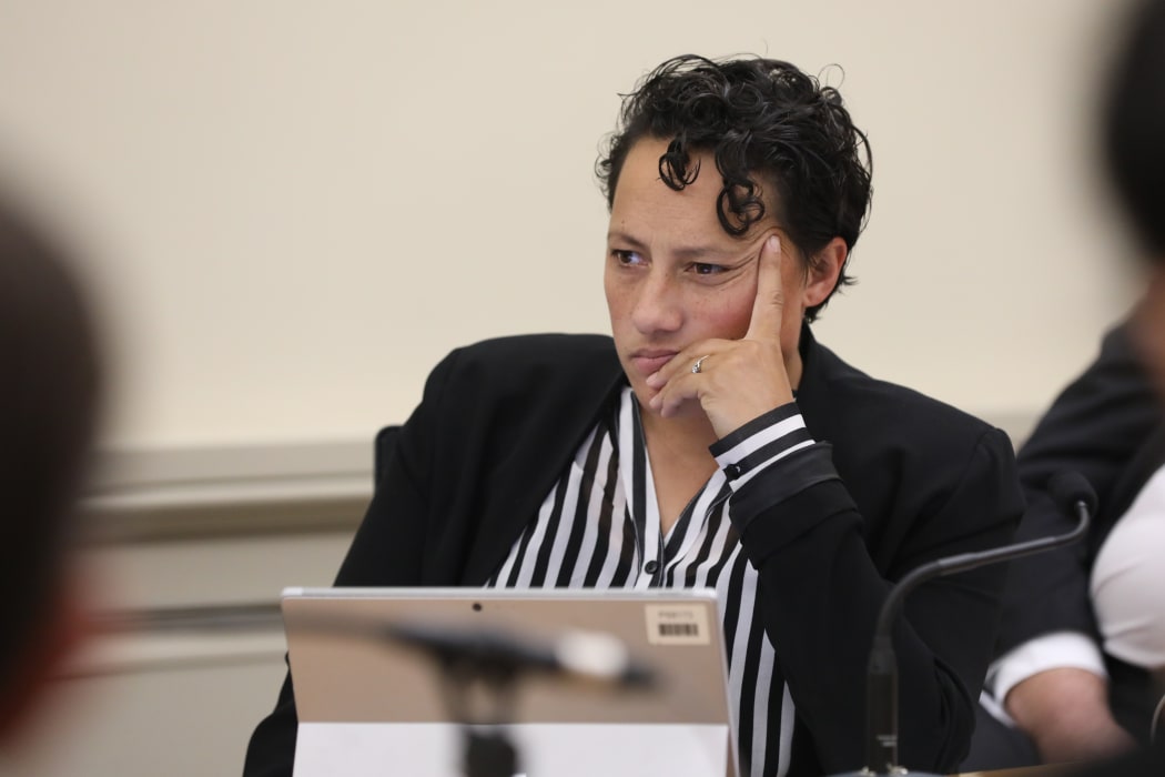 MP Kiri Allan in Select Committee