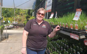 Manager Chantel Bell of Big Jim's Garden Centre New Plymouth/Waitara.