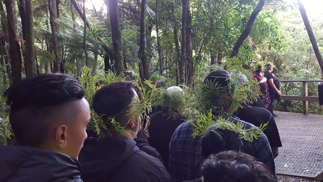 Te Kawerau ā Maki announced a rāhui to discourage people from visiting the Waitakere Ranges in a bid to stop the spread of kauri dieback.