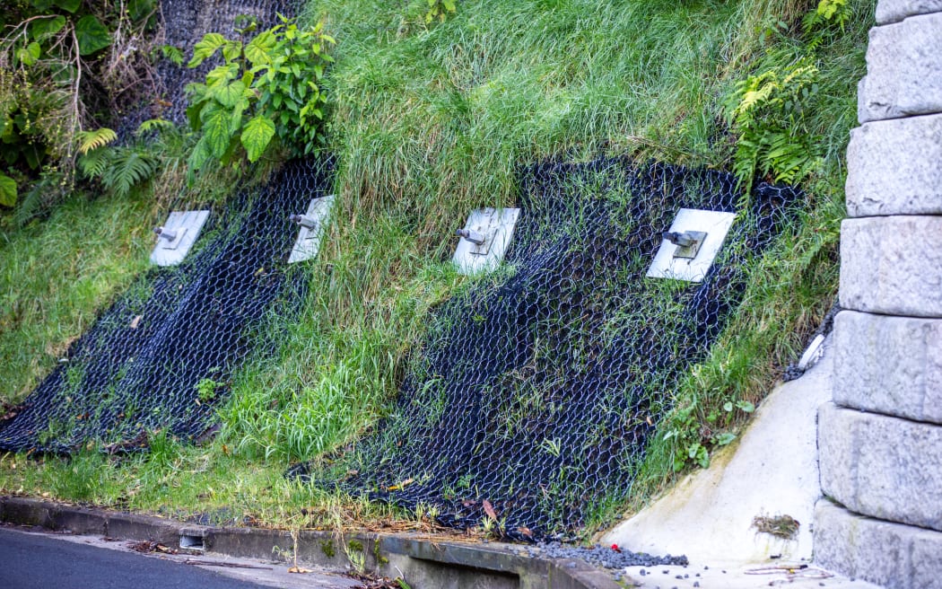 Long soil nails and anchors go deep into a hillside to stabilise it.