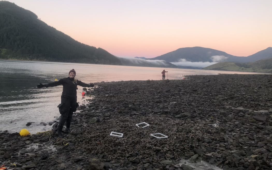 University of Auckland marine ecologist Emilee Benjamin is part of a project which aims to help mussel beds recover naturally around Tasman and Marlborough.