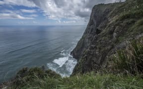 West Auckland Mercer Bay cliff area in the ongoing search for Kim Bambus.
Waitemata Detective Inspector Hayden Mander said searchers will scour the cliff area.
Ahu Ahu Track (Mercer Bay loop track) near Auckland's west coast beach of Piha.